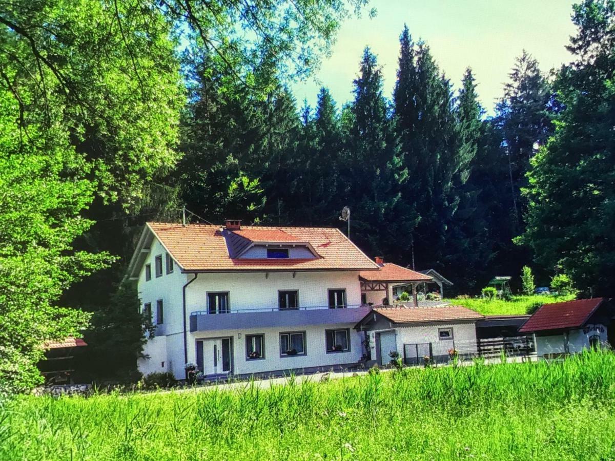 フェルデン・アム・ヴェルターゼーHaus Manuelaアパートメント エクステリア 写真